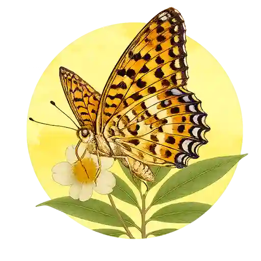 Common Leopard preview