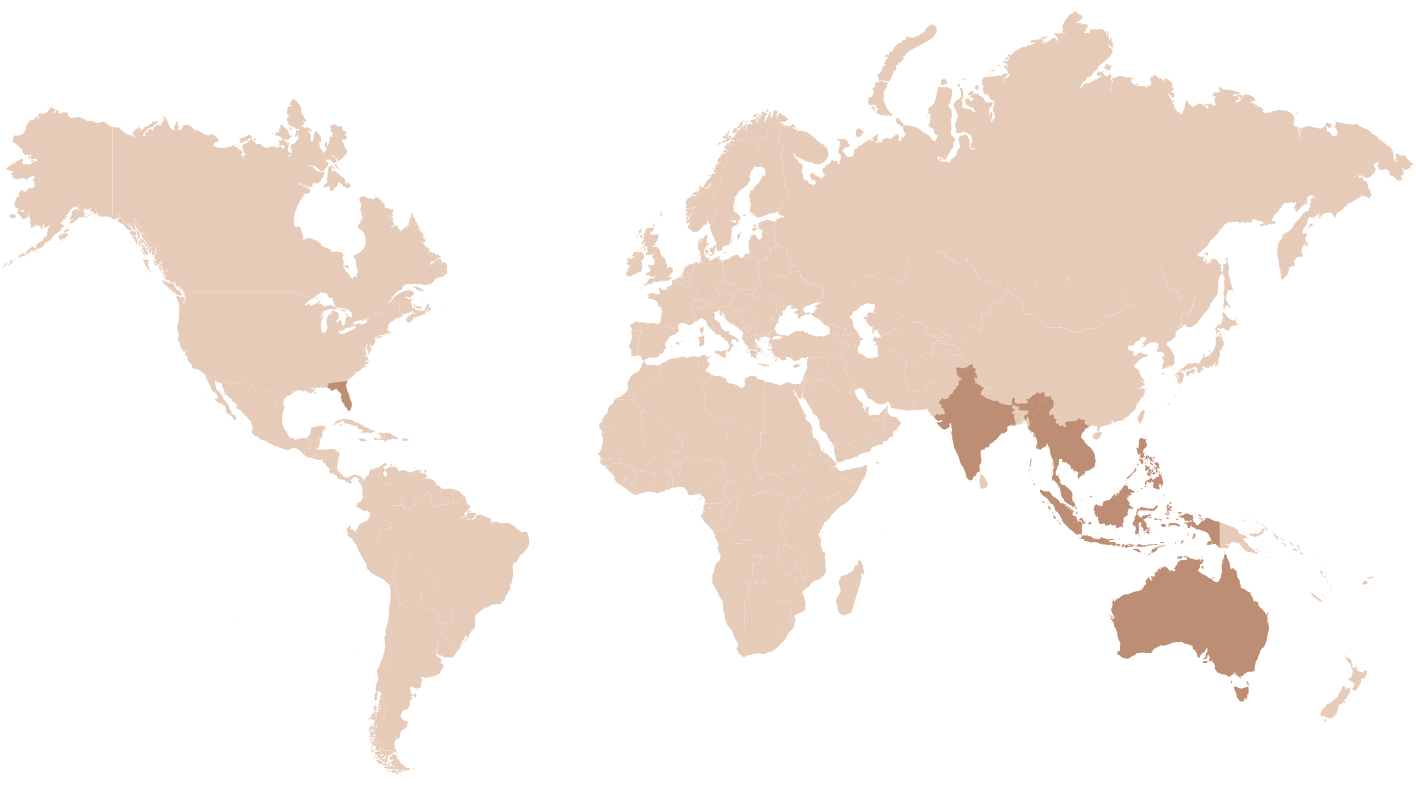 Foxtail Palm geographic range map